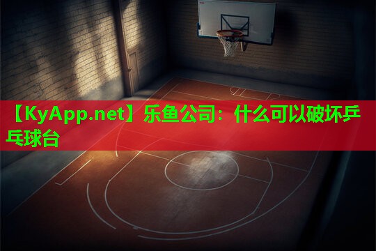 乐鱼公司：什么可以破坏乒乓球台