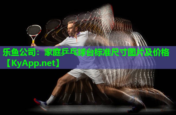 家庭乒乓球台标准尺寸图片及价格 家庭乒乓球台标准尺寸图片及价格