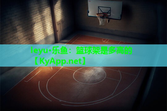 篮球架是多高的 篮球架是多高的