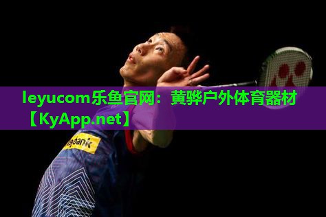 黄骅户外体育器材 黄骅户外体育器材