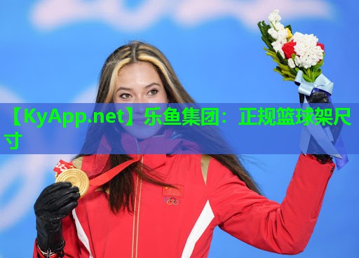 正规篮球架尺寸 正规篮球架尺寸