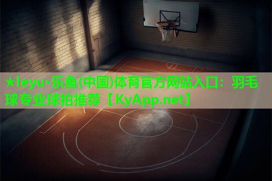 羽毛球专业球拍推荐 羽毛球专业球拍推荐