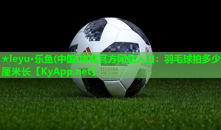 羽毛球拍多少厘米长 羽毛球拍多少厘米长